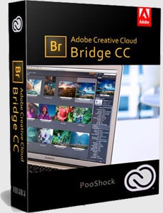 Скачать Adobe Bridge